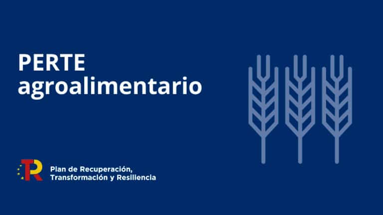 El Ministerio de Industria y Turismo ha publicado la Orden de Bases y la convocatoria de la segunda edición del PERTE Agroalimentario dotado con 100 millones de euros en subvenciones, en el marco del Plan de Recuperación, Transformación y Resiliencia.